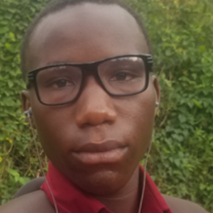 Walugembe  Hussein-Freelancer in Kampala,Uganda