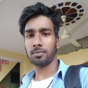 Vikas Kumar-Freelancer in Singhana,India