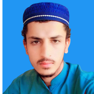 Wadood Khan-Freelancer in khyber pakhtunkhwa bannu,Pakistan