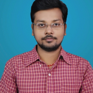 Rahul Kumar-Freelancer in Chennai Area, India,India