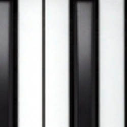 fjfgnfnn-Freelancer in Frankfurt am Main,Germany