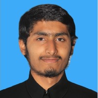 Tayyab Mustafa-Freelancer in Mandi Bahauddin,Pakistan