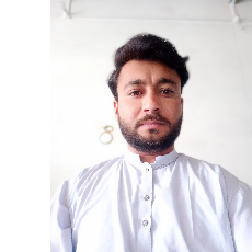 Muhammad Naveed Anjum-Freelancer in Muzaffargarh,Pakistan