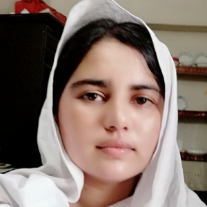 Aneela Mubashir-Freelancer in MIANWALI (PUNJAB.PAKISTAN),Pakistan