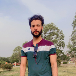 Muhammad Haris-Freelancer in Lahore,Pakistan