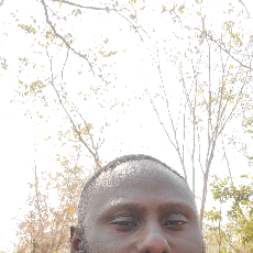 Alexander Ahmadu-Freelancer in Abuja,Nigeria