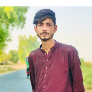 Haseeb Dogar-Freelancer in Mian Channu,Pakistan