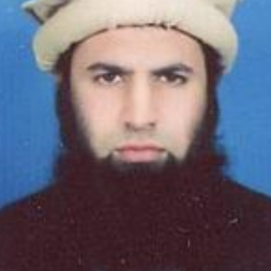 P050064 Adil Sajjad-Freelancer in Peshawar,Pakistan