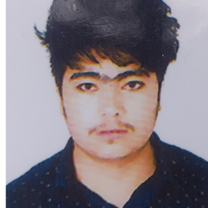 Ahmad Hussain-Freelancer in Ladakh,India