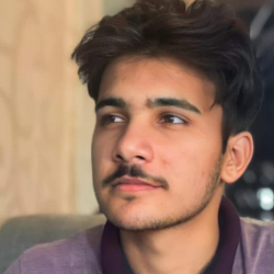Mohsin Malik-Freelancer in islamabad,Pakistan