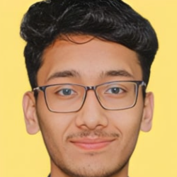 Ujjawal Raj-Freelancer in Greater Noida,India