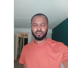 Ifeanyi Franklin Ike-Freelancer in Abuja,Nigeria