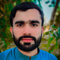 Muhammad Arsalan-Freelancer in Islamabad,Pakistan