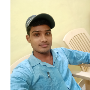 Anil Patel-Freelancer in Sarangarh,India