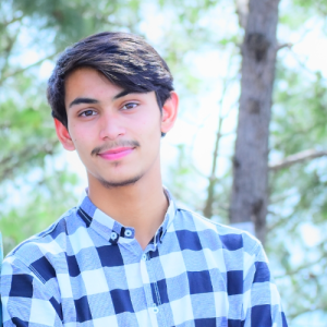 Hamza Waheed-Freelancer in Kotli, Azad Kashmir,Pakistan