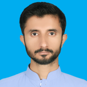 Zahid Hussain-Freelancer in Dera Ghazi Khan,Pakistan