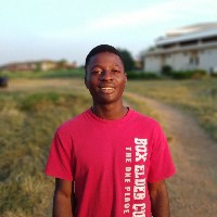 Victor Adekola-Freelancer in Oyo East,Nigeria