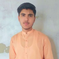Mohammad Shoaib-Freelancer in Toba Tek Singh District,Pakistan
