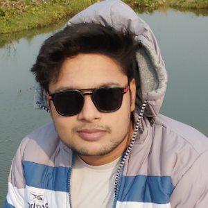 Sourav Mukherjee - Senior Software & game developer - Freelancer from ...