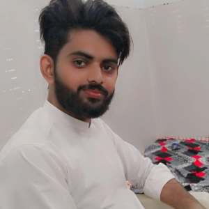 Muhammad Aleem Anwar-Freelancer in Faisalabad,Pakistan