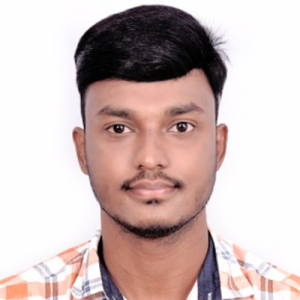 Raghavendra B-Freelancer in Bengaluru,India