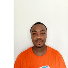 Emmanuel Edeminam-Freelancer in Abuja,Nigeria
