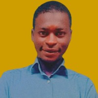 Muhammad Sadik-Freelancer in Zuru,Nigeria