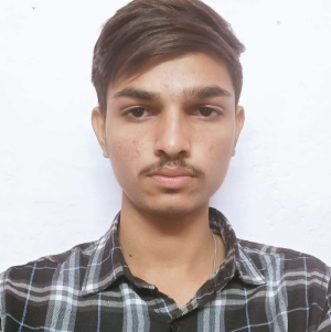 Ankush Meena-Freelancer in Jaipur,India