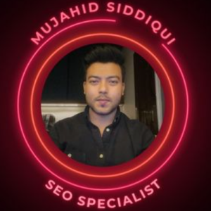 Mujahid Siddiqui-Freelancer in Karachi,Pakistan
