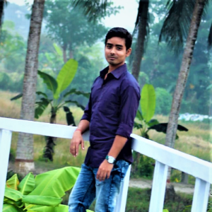 Paresh Kumer Biswas-Freelancer in Jessore,Bangladesh