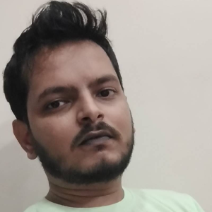 Vinish Khatik-Freelancer in Raipur,India