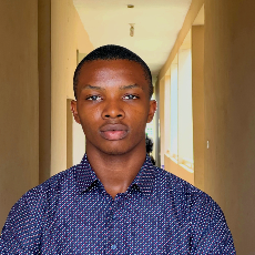 Ikeanumba Evans-Freelancer in Lagos,Nigeria