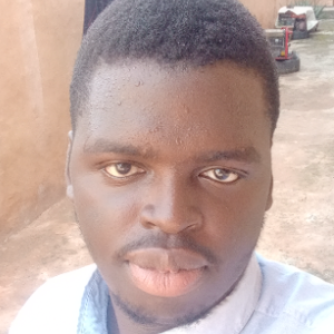Osayanhu Jeremiah Imoisili-Freelancer in Ikeja,Nigeria
