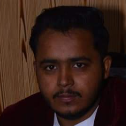 Husnain Raza-Freelancer in Faisalabad,Pakistan
