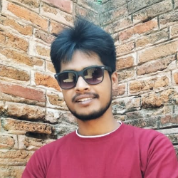 Pronab Tarafdar-Freelancer in Kolkata,India