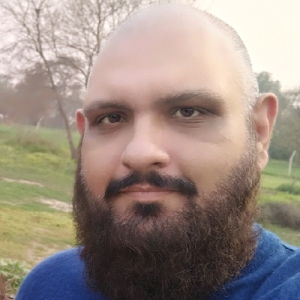 Hassan Tariq Malik-Freelancer in Lahore,Pakistan