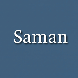 Saman Ahmad-Freelancer in Noida,India