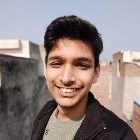 Paras K. Aneja-Freelancer in Rohtak Division,India