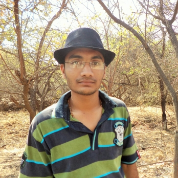 Sagar Vekariya-Freelancer in Rajkot,India
