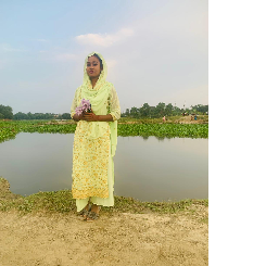 Mst. Faiza Akter Neela-Freelancer in Gazipur,Bangladesh