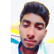 Vikash Rajput-Freelancer in Delhi Division,India