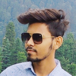 Puneet Kumar-Freelancer in Bareilly,India