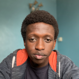 Donatus Omondi Ochieng-Freelancer in Nairobi,Kenya