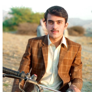 Tauqeer Ulhaq-Freelancer in Rawalpindi,Pakistan