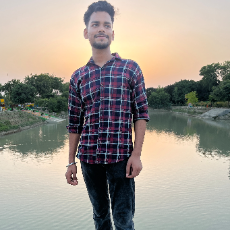 Divyant Singh-Freelancer in Lucknow,India