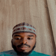 Abdullahi Aliyu-Freelancer in ,Nigeria