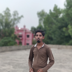 Muhammad Zeshan-Freelancer in Sahiwal District,Pakistan
