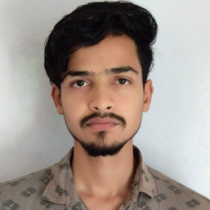 Sushant Pal-Freelancer in Delhi,India