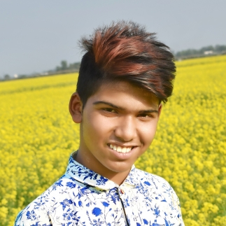 Ashdul Hashmi-Freelancer in Sirajganj,Bangladesh