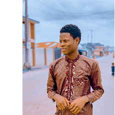 Mustapha Abdulkareem-Freelancer in Ibadan,Nigeria